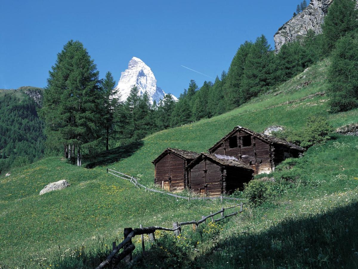 Apartment Apollo By Interhome Zermatt Eksteriør billede
